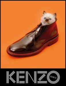 KENZOの経歴